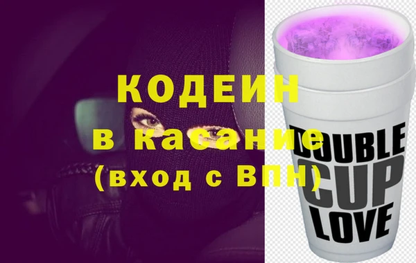 индика Бронницы