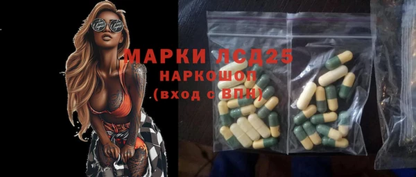 индика Бронницы