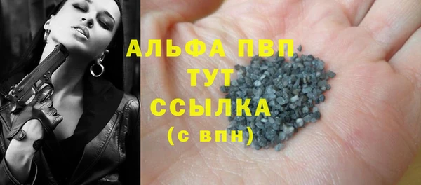 индика Бронницы