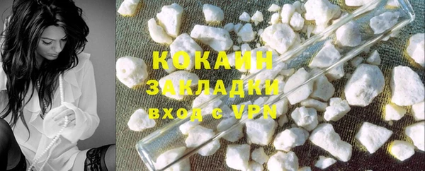 индика Бронницы