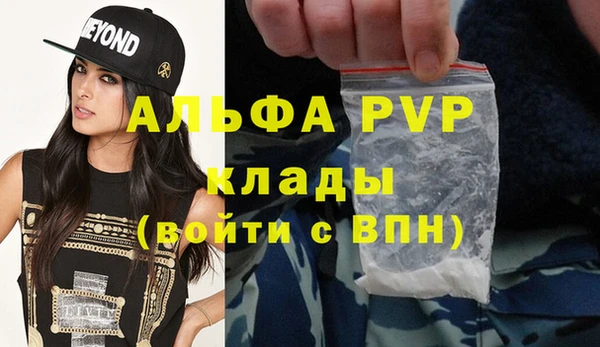 спайс Бородино