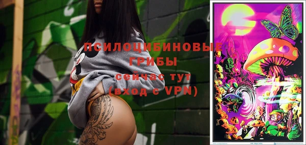 индика Бронницы