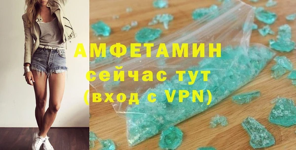 индика Бронницы