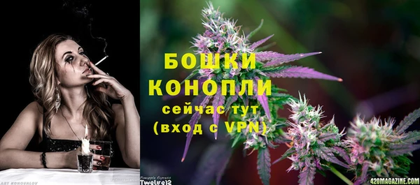 спайс Бородино
