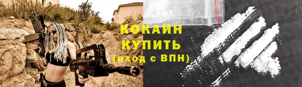 спайс Бородино
