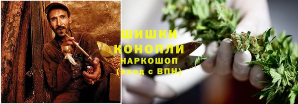 спайс Бородино