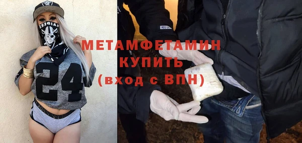 индика Бронницы