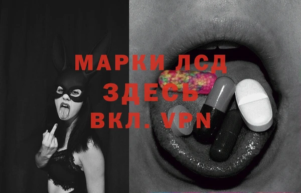 индика Бронницы